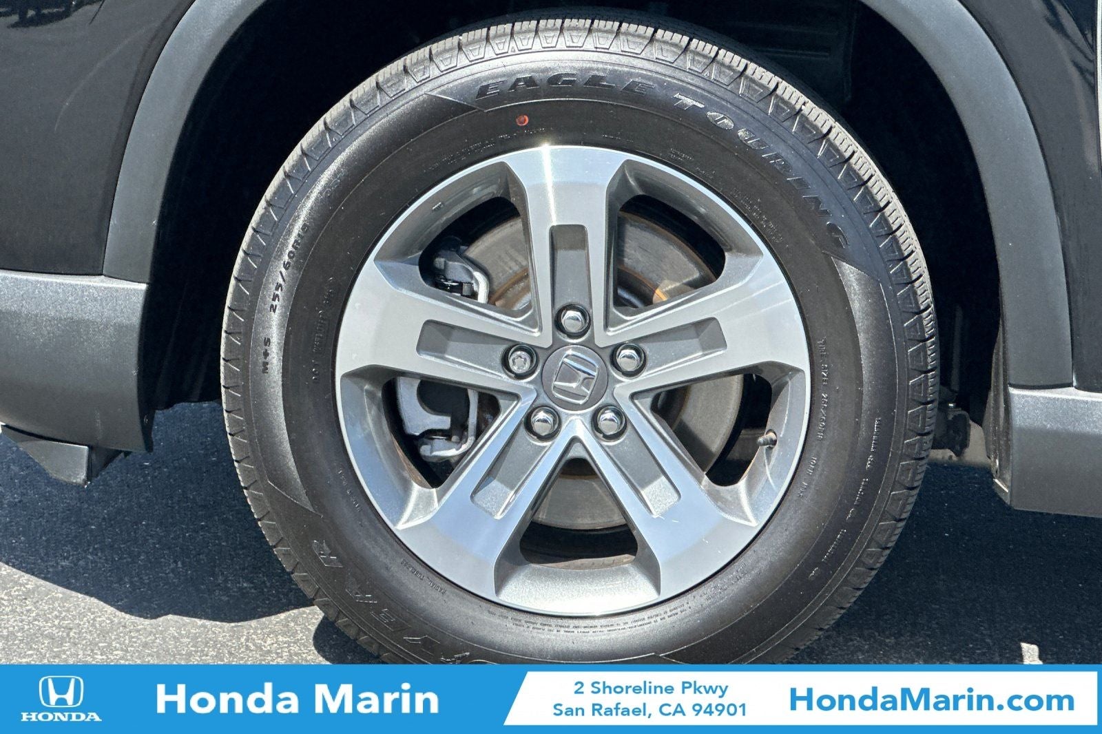 2024 Honda Pilot EX-L 8 Passenger