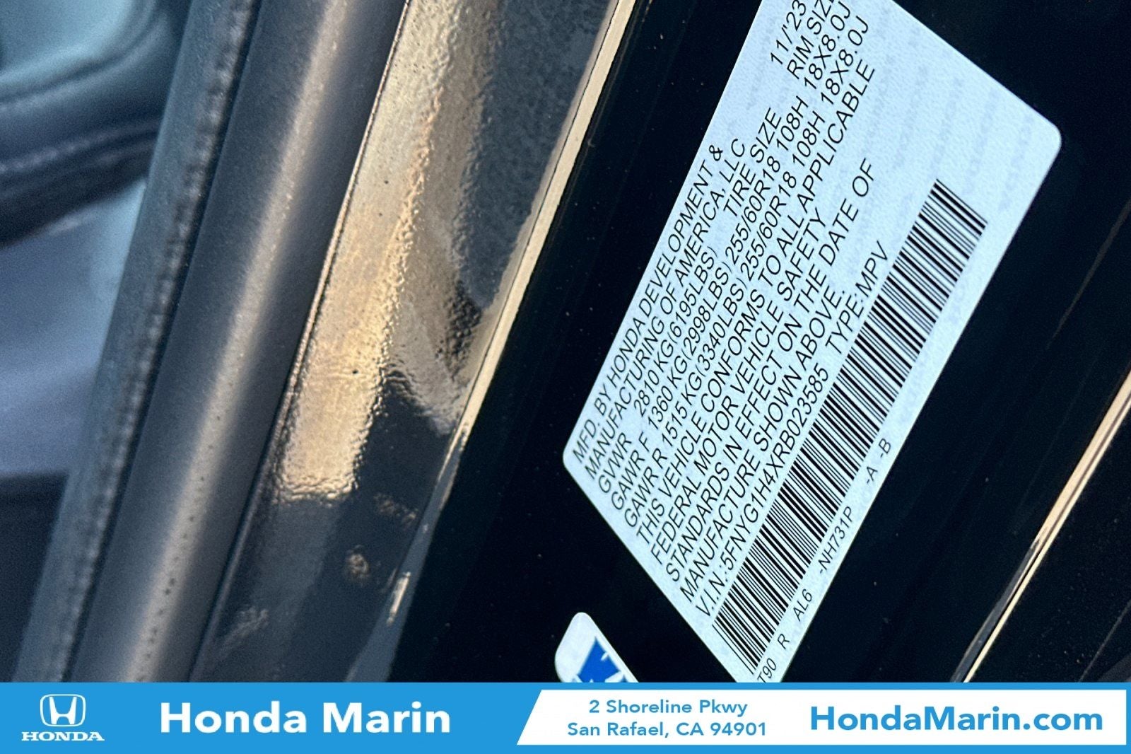 2024 Honda Pilot EX-L 8 Passenger